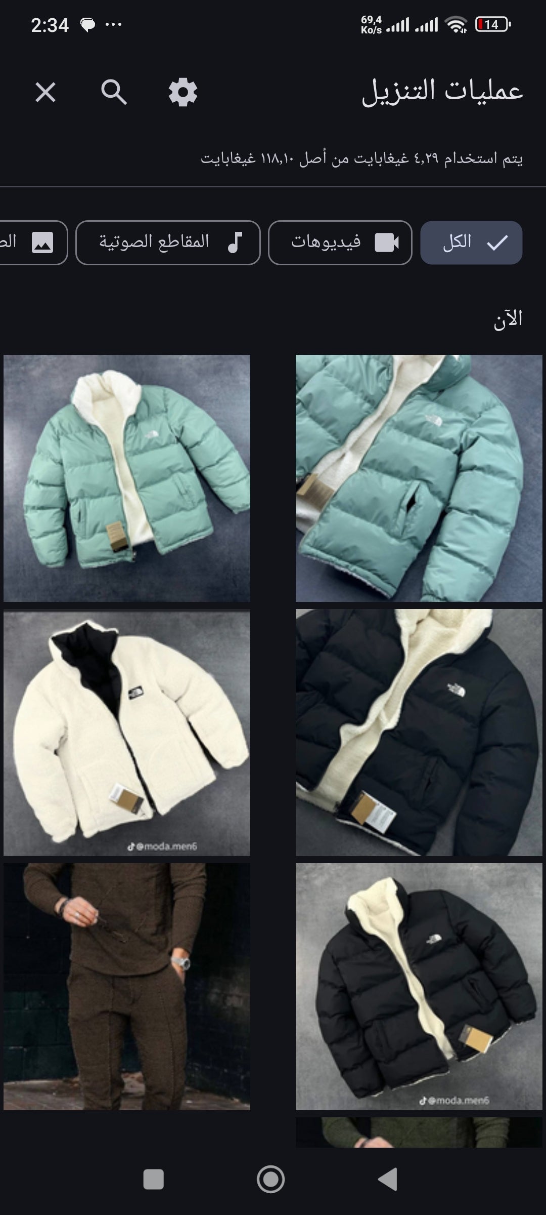 Dodone the north face
